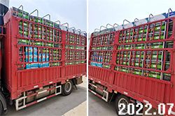 ��(n��i)�ɹſ͑�(h��)ӆُ(g��u)11��Һ�w��ጵ���